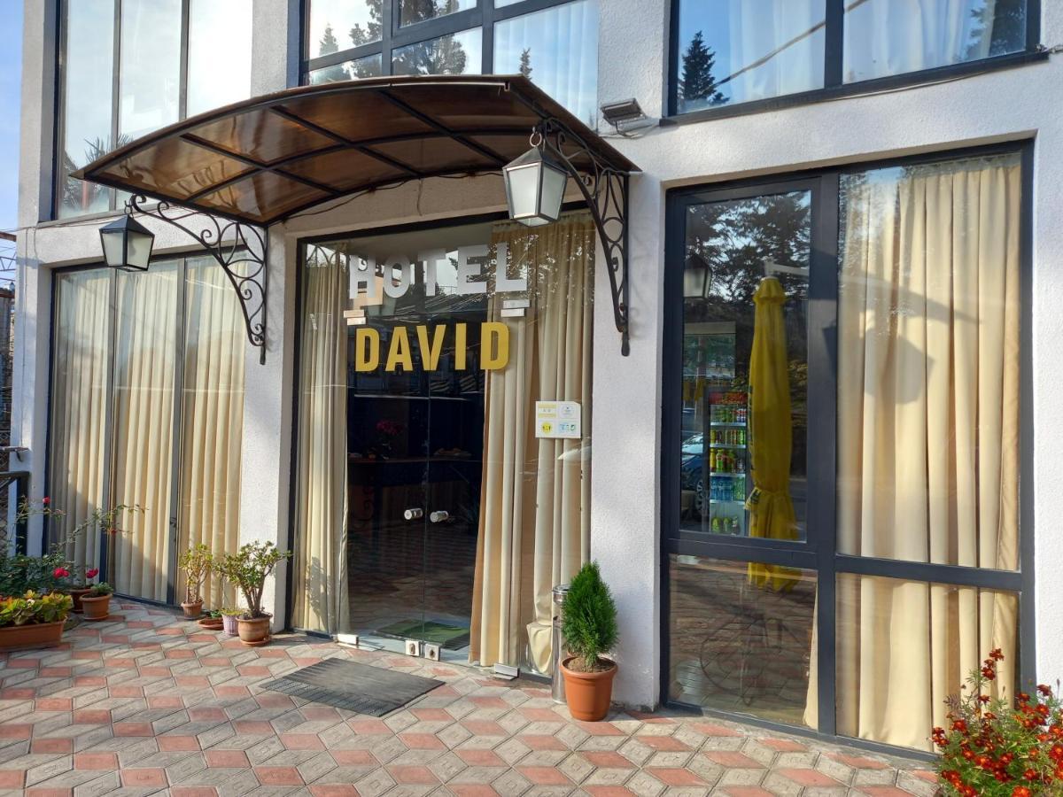 David Hotel 库塔伊西 外观 照片
